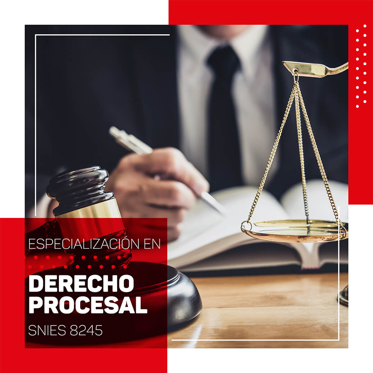 C Cuta Especializaci N En Derecho Procesal